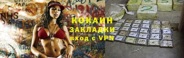дживик Алексин