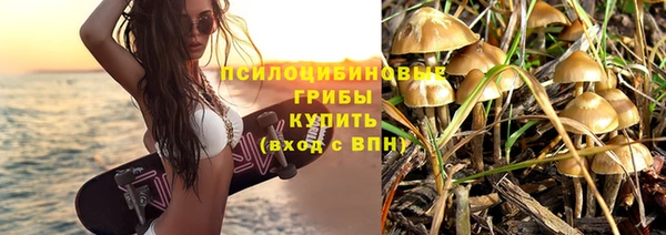 соль курить ск Алексеевка